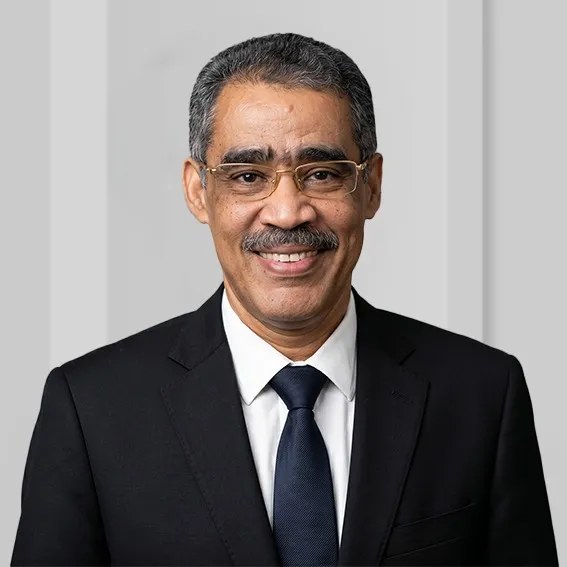 ضياء رشوان 