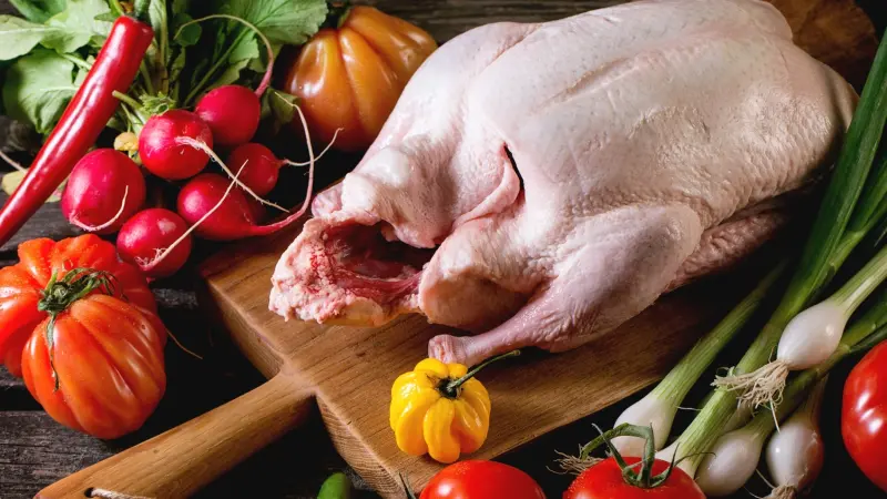 مخاوف بعد تسجيل 300 إصابة بالسالمونيلا في الاتحاد الأوروبي.. ماذا يحصل؟