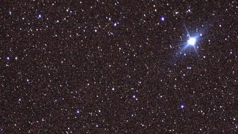 ما هو عدد أيام موسم سهيل وما سبب تسميته؟