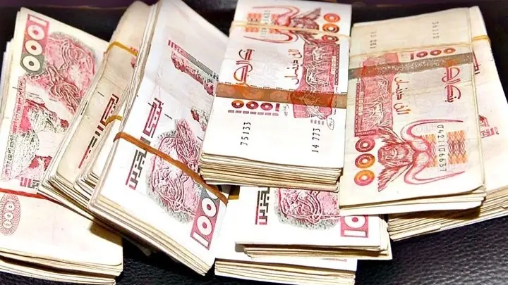 شروط منحة البطالة 2025 في الجزائر.. لجان جديدة للفحص التجديد