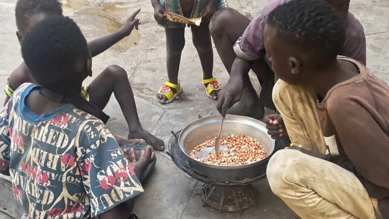 مأساة مستمرة.. سودانيون يقتاتون على التراب وأوراق الشجر