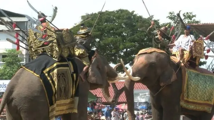 فيديو - الفيلة تدخل على خط المواجهة بين تايلاند وكمبوديا