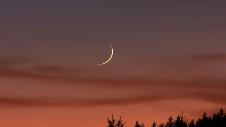 دار الإفتاء المصرية تعلن أن الأحد أول أيام شهر ربيع الأول