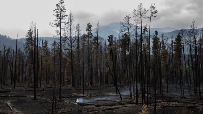 أكثر من 800 حريق غابات مشتعل في عموم كندا