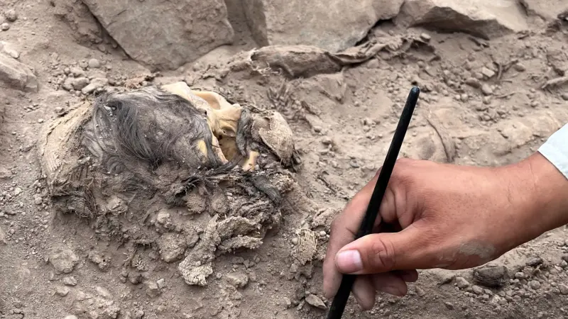 مصر - وفاة 3 شباب في الفيوم أثناء التنقيب عن الآثار