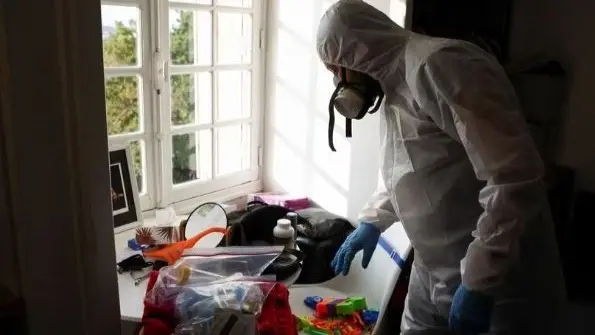 هل رُصد "البق الفرنسي" في المغرب والجزائر وتونس؟