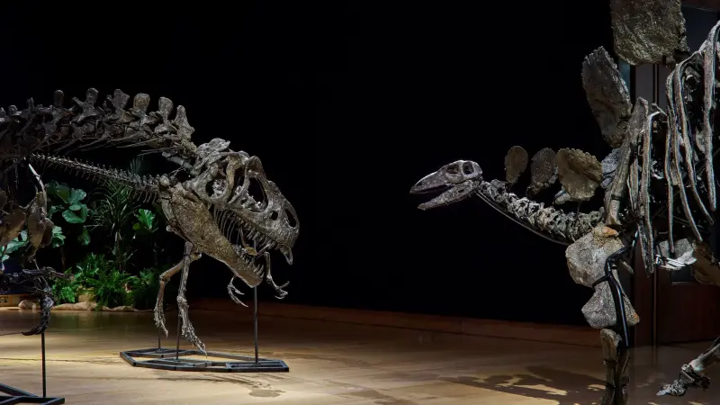 العثور على آثار أقدام ديناصورات يعود تاريخها إلى ملايين السنين