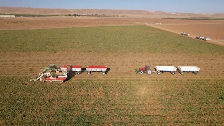 رغم التحديات العالمية.. استمرار الزخم على صادرات الحبوب الروسية