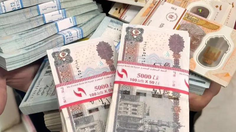 خطوات الاستعلام عن الأسماء الجدد في تكافل وكرامة في مصر