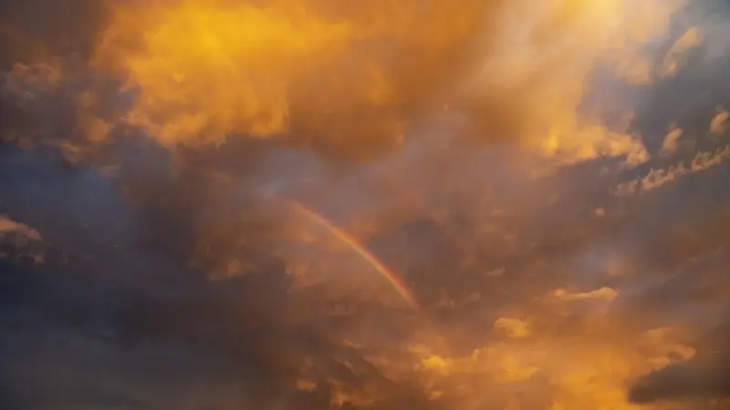 كيف قد تكشف ميكروبات الأرض أسرار الكائنات الفضائية؟