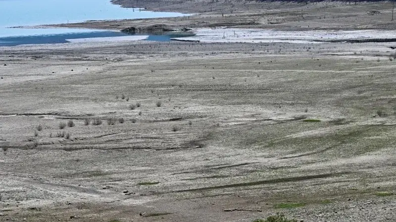 إحصائية مقلقة.. جفاف قياسي يضرب أوروبا