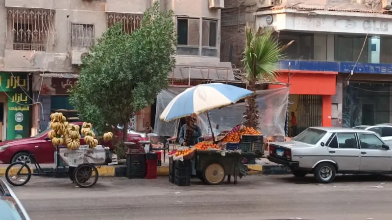 البطالة في مصر تتراجع إلى 6.1% خلال الربع الثاني 2025