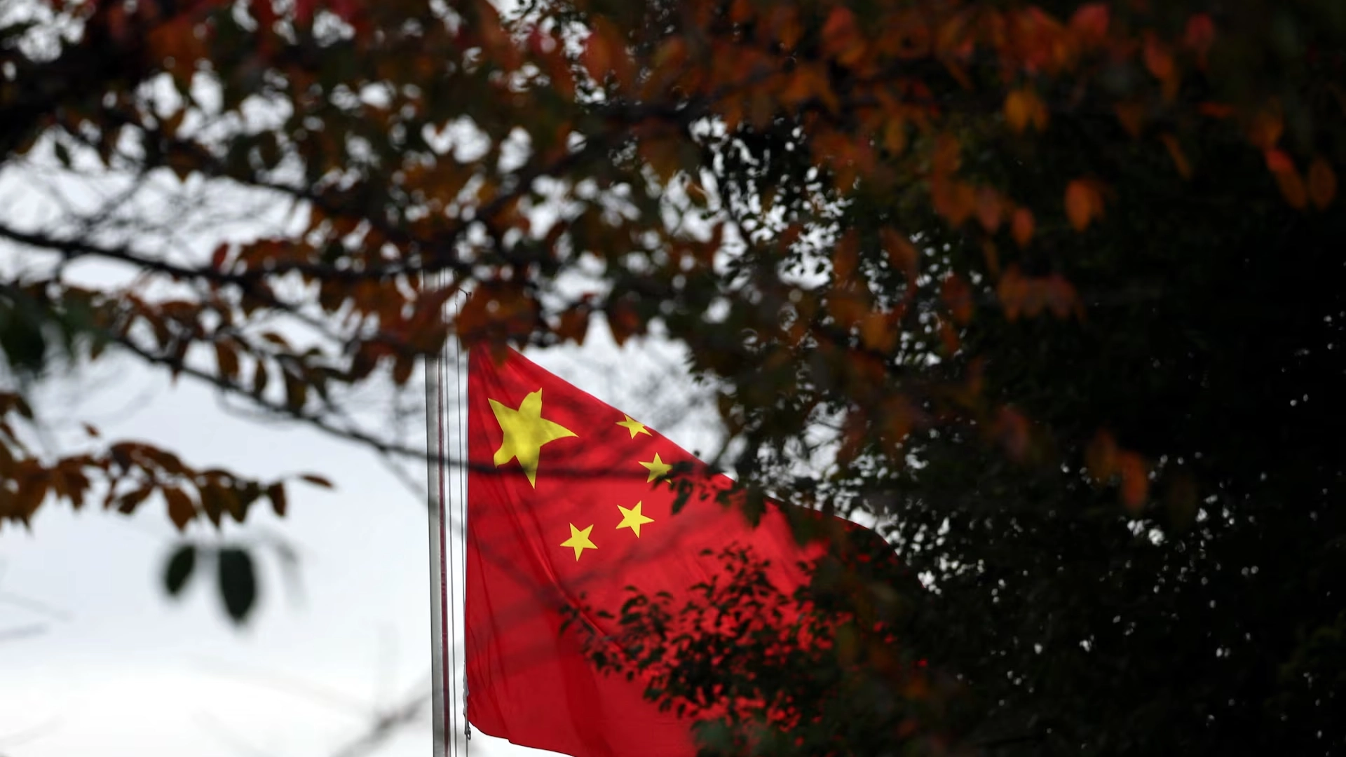 مع استمرار المعارك.. الصين تتوسط بين تايلاند وكمبوديا 