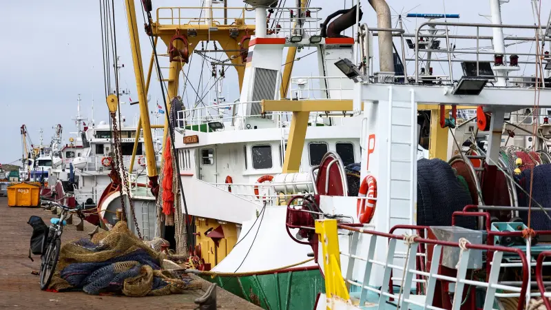 ارتفاع أسعار الوقود يشلّ نصف أسطول الصيد الهولندي