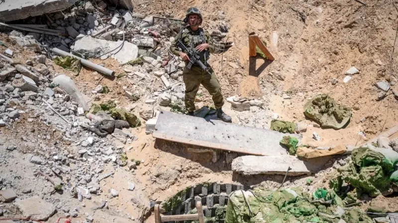 "خسرنا قوت يومنا".. إسرائيل تحوّل مزارع غزة إلى أرض جرداء