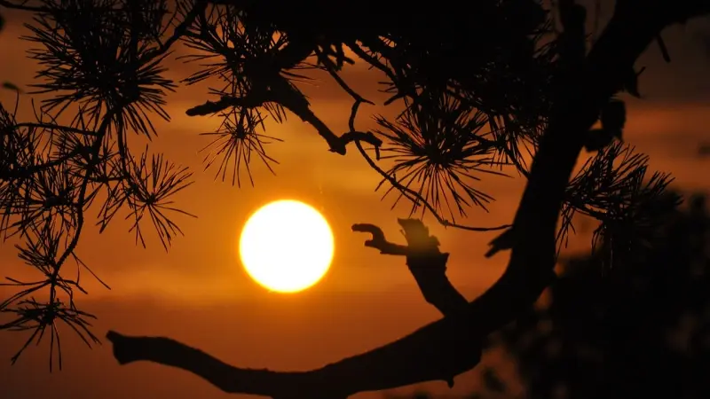 دراسة قاتمة: حرارة الأرض ارتفعت إلى "مستوى غير مسبوق"