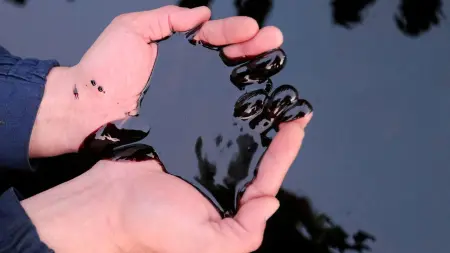 related_news_inside_blogsسقوط أسعار النفط بخسائر 1.8% منذ بداية الأسبوع لهذا السبب