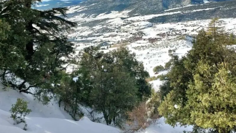 أمطار وثلوج في المغرب.. الأرصاد الجوية تحذر