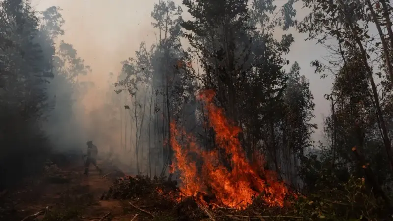 صور - الحرائق في تشيلي ما زالت خارج السيطرة