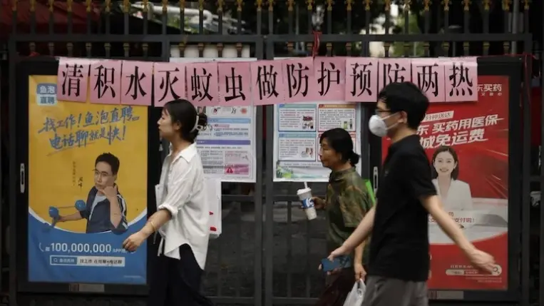 آخر تطورات فيروس شيكونغونيا.. أكثر من 1000 إصابة جديدة في أسبوع