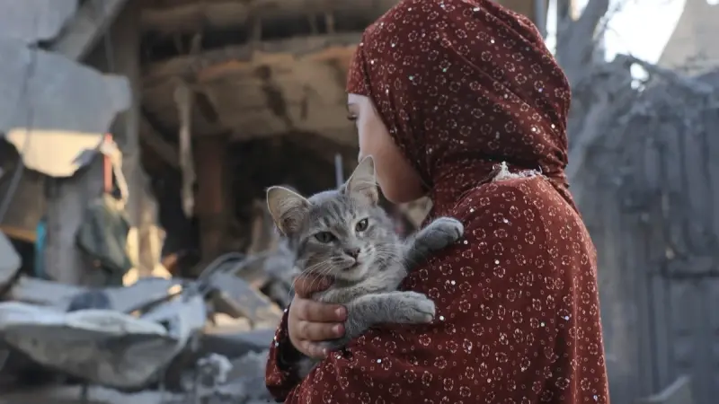 قصف رفح.. كيف ينفذّه الجيش الإسرائيلي؟