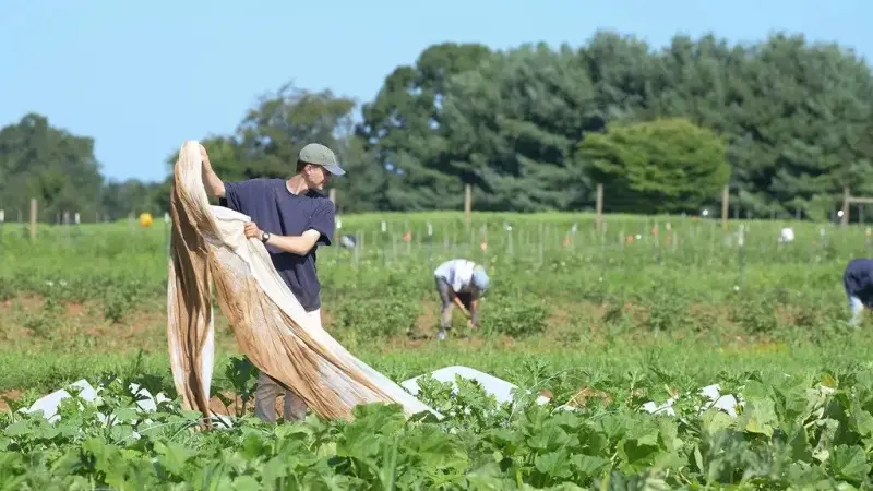 المزارعون الأميركيون "قلقون" من الرسوم الجمركية