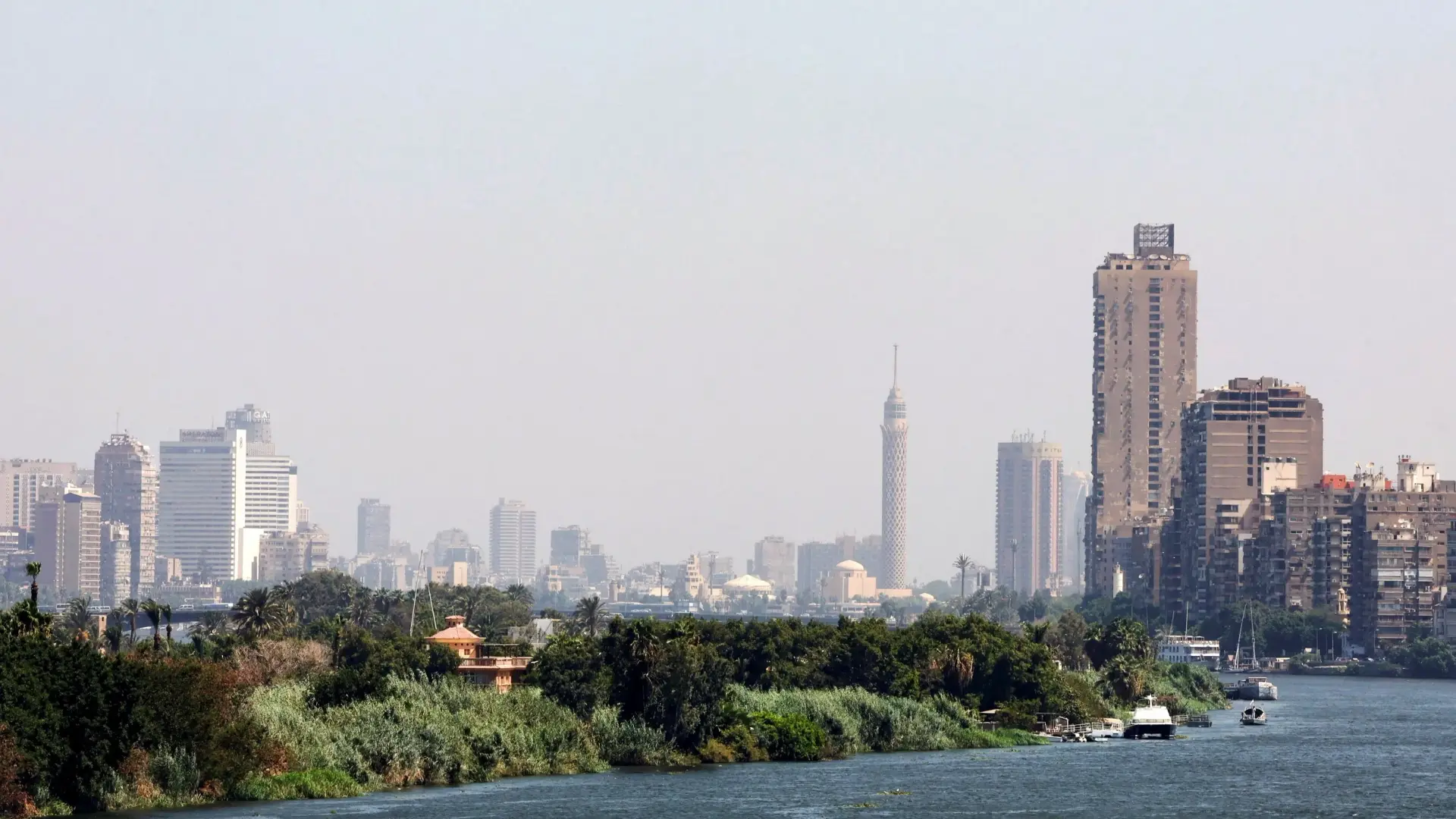 مقراب العقاب تويتر أثار الجدل في مصر بعد تدوينة نشرها قبل ساعات من الهزة الأرضية (رويترز) مقراب العقاب تويتر أثار الجدل في مصر بعد تدوينة نشرها قبل ساعات من الهزة الأرضية (رويترز)