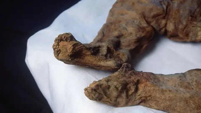 ما حقيقة اكتشاف مومياء تعود لطفل في ليبيا؟