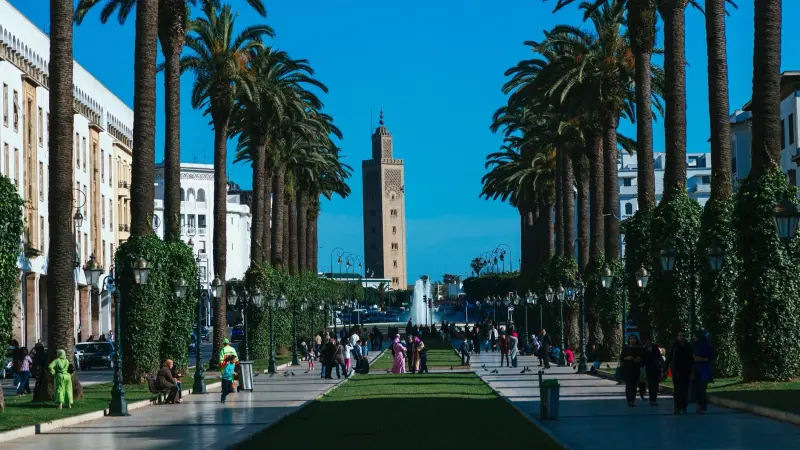 التحديث التقني دون تحديث الذهنيات تعميق للتخلف