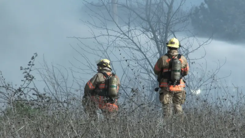 دراسة تكشف.. حرائق الغابات تضرّ بخصوبة الرجال