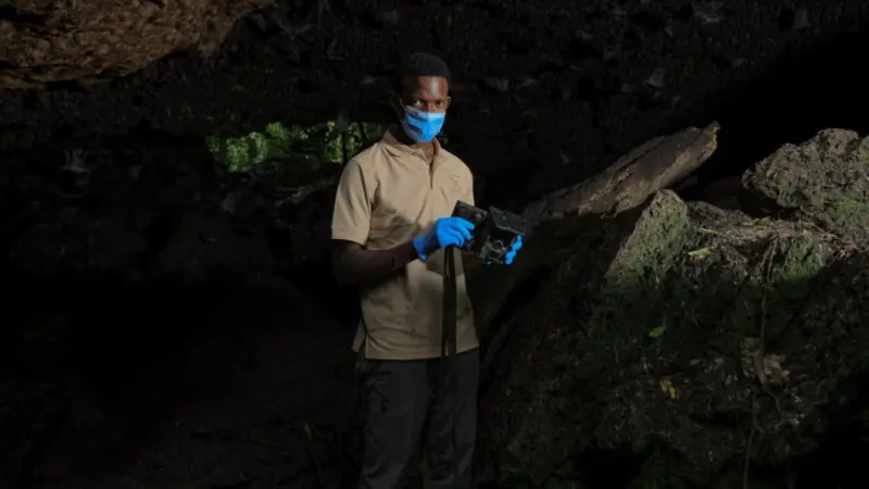 شبكة خفافيش مفترسة تكشف مخاطر فيروس ماربورغ