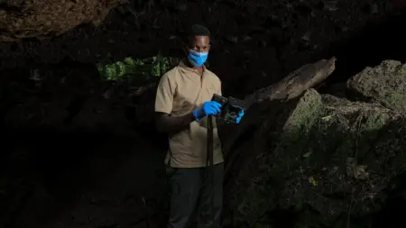 شبكة خفافيش مفترسة تكشف مخاطر فيروس ماربورغ