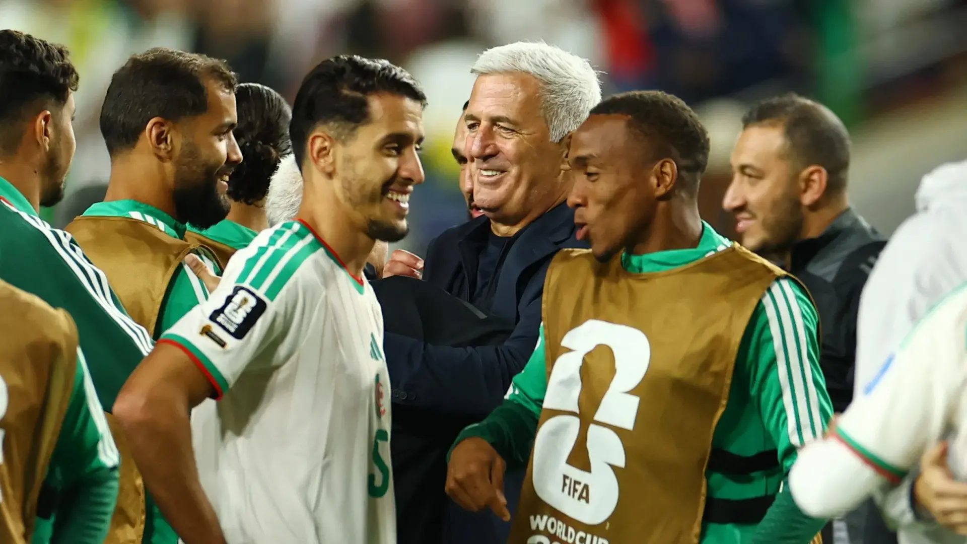 بيتكوفيتش يرحل عن تدريب الجزائر بعد 29 شهرًا (رويترز) بيتكوفيتش يرحل عن تدريب الجزائر بعد 29 شهرًا (رويترز)