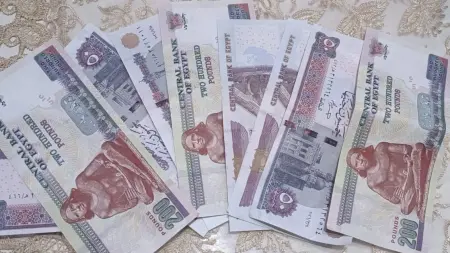 related_news_inside_blogsسعر الدولار مقابل الجنيه المصري اليوم الثلاثاء 16/6/2026.. "الأخضر" يفقد 180 قرشا