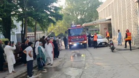 فيديو - فاجعة.. حريق يلتهم 14 مولودا بمستشفى في إسلام آباد