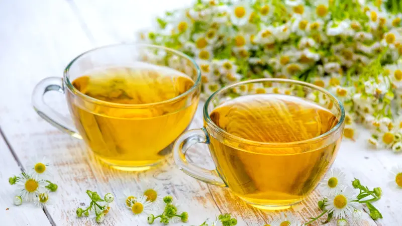 كم تبلغ نسبة الكافيين في الشاي الأخضر؟