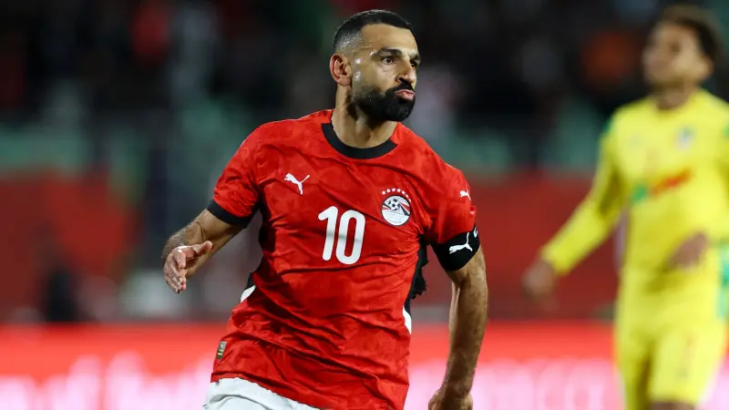 فيديو - القط نيمبوس يتوقع نتيجة مباراة مصر وكوت ديفوار.. من الأوفر حظا؟