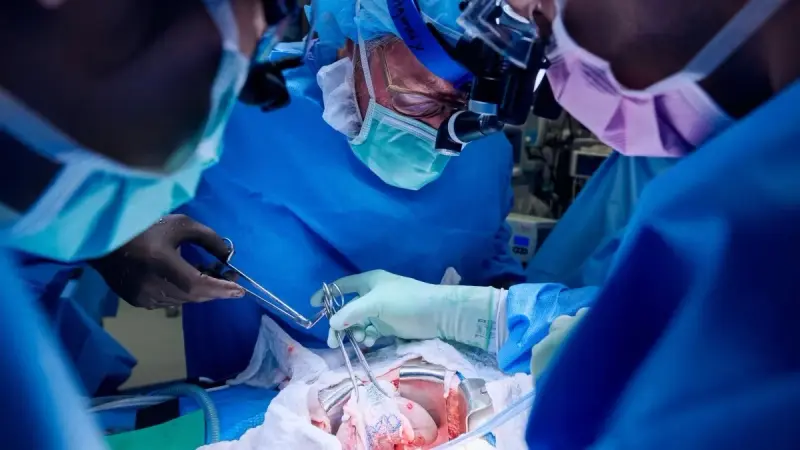 للمرة الثانية.. جراحون أميركيون يزرعون كلية خنزير لمريض حي