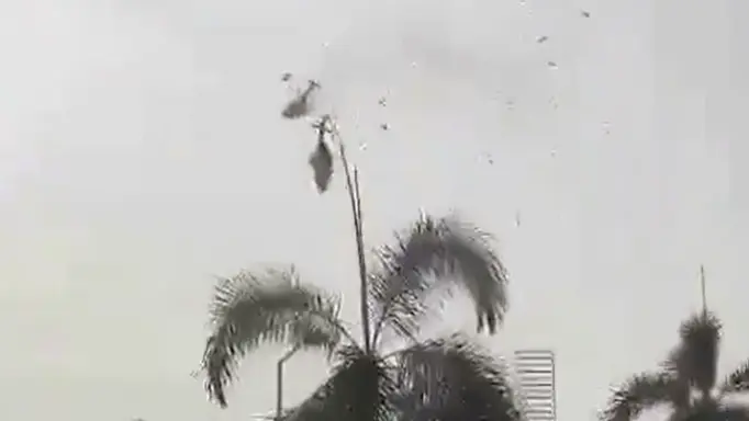 فيديو - 10 قتلى بتصادم مروحيتين عسكريتين في ماليزيا