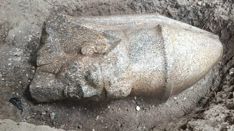 رمسيس الثاني يعود إلى الواجهة باكتشاف تمثالين ملكيين في الغربية