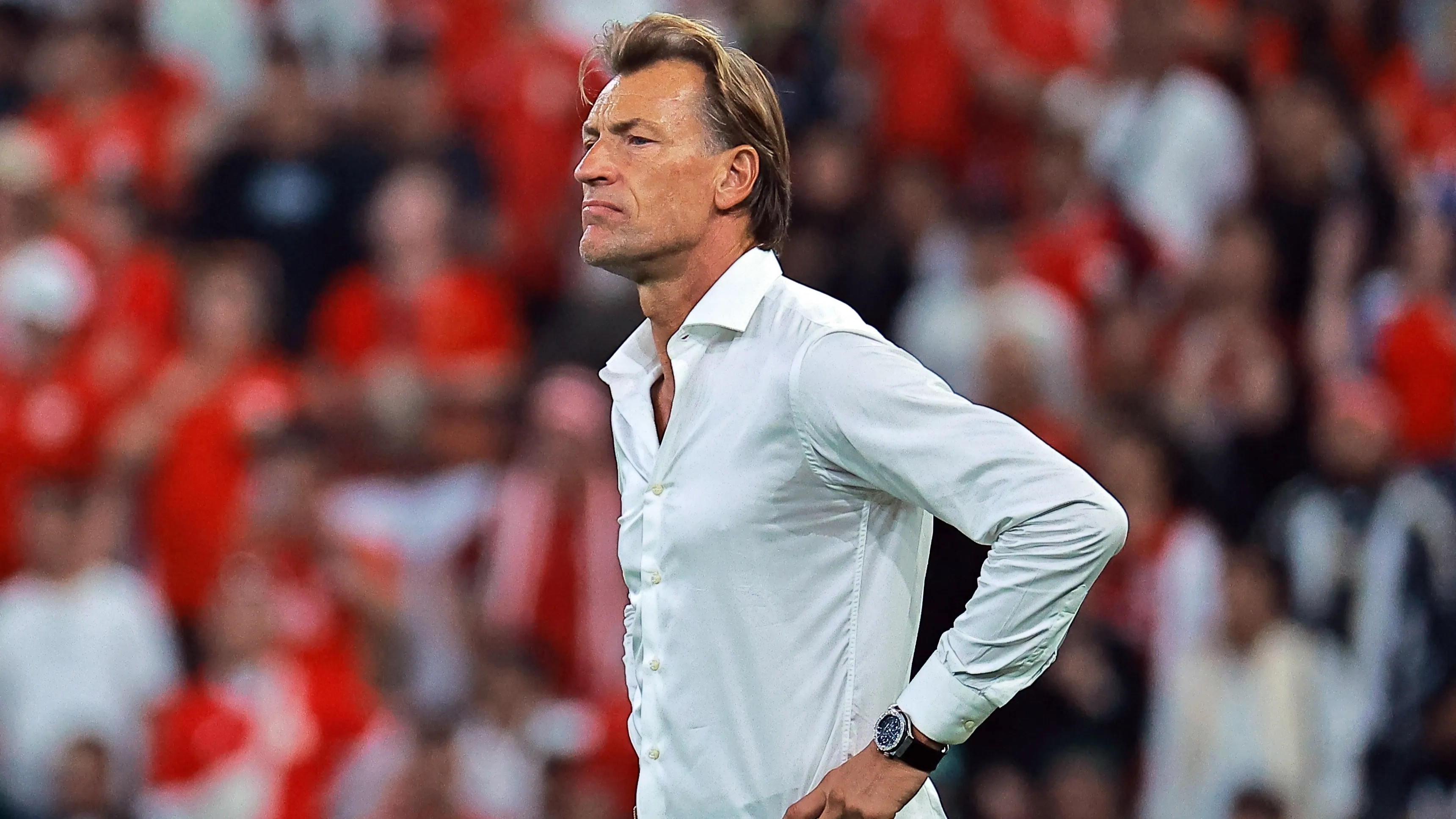 رينارد يدعم الركراكي برسالة خاصة قبل نهائي أمم إفريقيا 