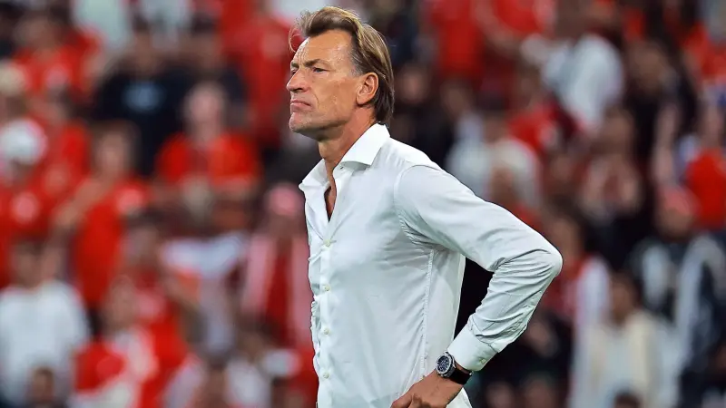 رينارد يدعم الركراكي برسالة خاصة قبل نهائي أمم إفريقيا