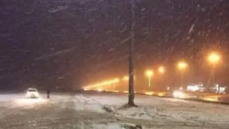 فيديو تساقط الثلوج في الأردن.. الزائر الأبيض يحبس الأنفاس