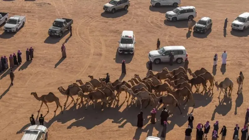 فوز منقية سمارات على مهلكات الحمر في مسابقة منقية الجزيرة