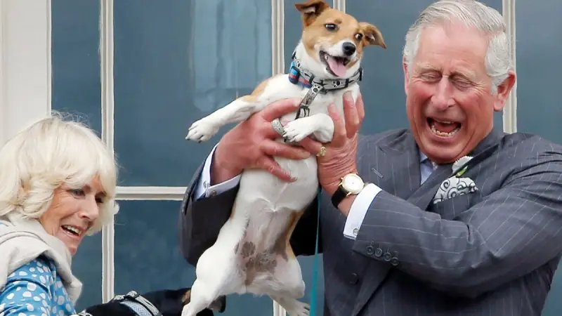 رفضا "كلاب إليزابيت".. كيف تفاعل البريطانيون مع قرار تشارلز وكاميلا؟