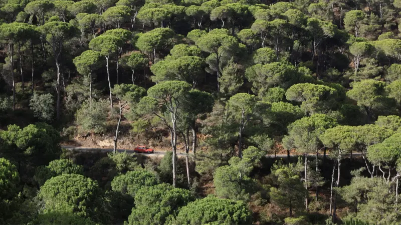 غارة على قرية دير كيفا بعد تحذير أفيخاي أدرعي.. هذه أهدافها