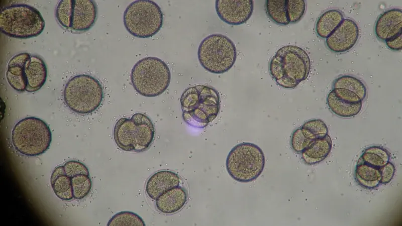 "بوند الشرير".. اكتشاف جديد قد يُحدث ثورة في علاج السرطان