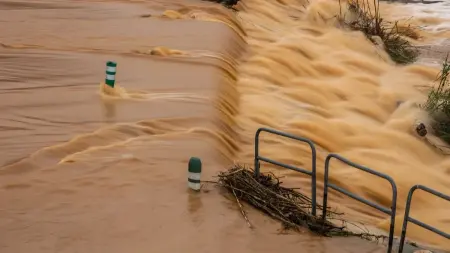 related_news_inside_blogsفيضان سد زرقاء ماعين يعكس تحسن الموارد المائية بعد سنوات من الجفاف