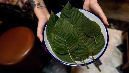 related_news_inside_blogsالقرطوم.. من مكمل عشبي إلى أزمة صحية متصاعدة في أميركا