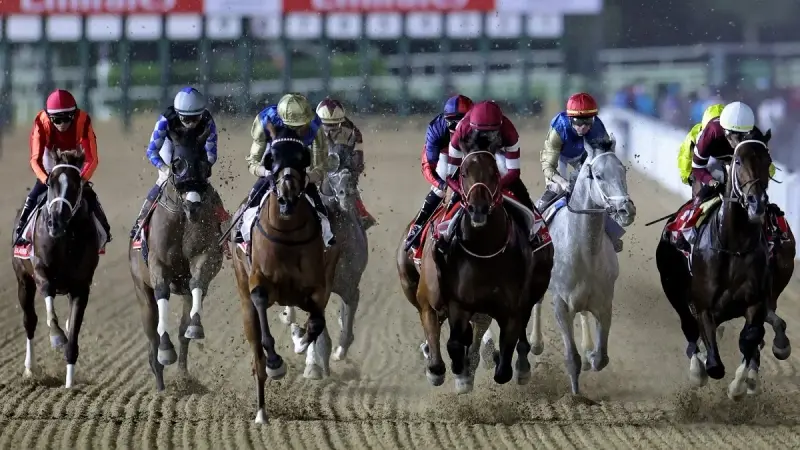 كأس دبي العالمي للخيول 2026 - نجاح تنظيمي وأرقام قياسية إماراتية